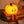 Pumpkin Pal Night Light